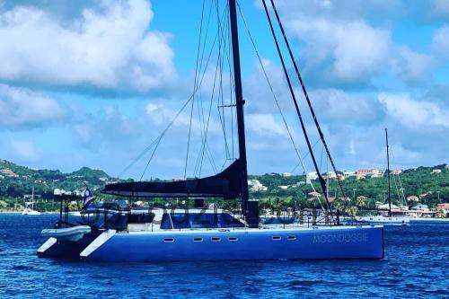 Gunboat 66 karta techniczna i opinia